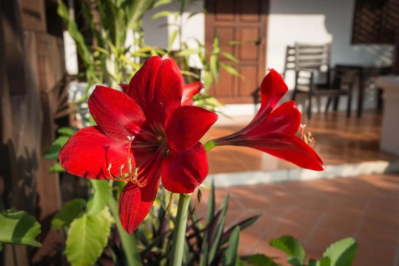 Mylaohome Guesthouse Luang Prabang